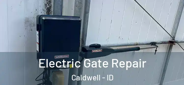  Electric Gate Repair Caldwell - ID