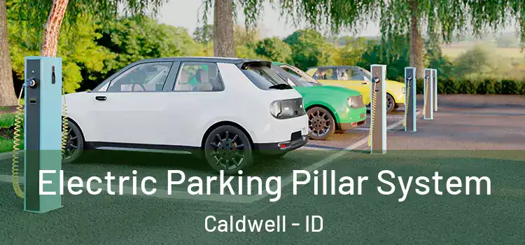  Electric Parking Pillar System Caldwell - ID