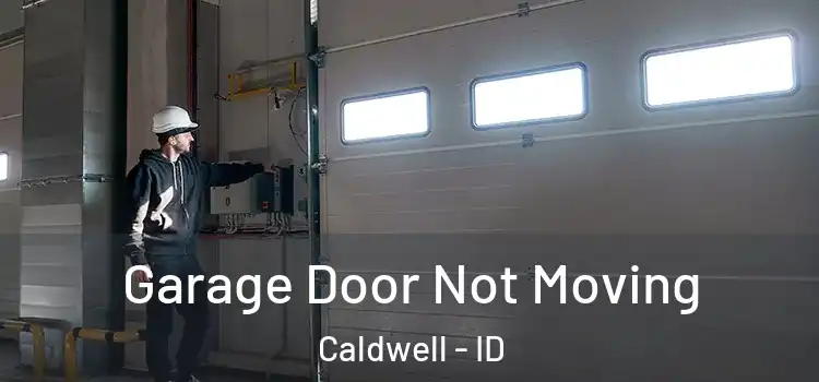  Garage Door Not Moving Caldwell - ID