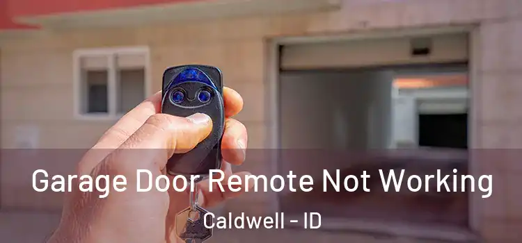  Garage Door Remote Not Working Caldwell - ID