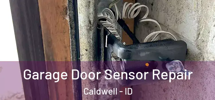  Garage Door Sensor Repair Caldwell - ID