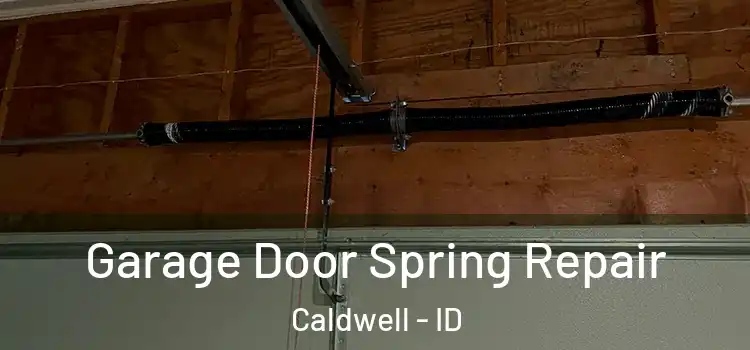  Garage Door Spring Repair Caldwell - ID