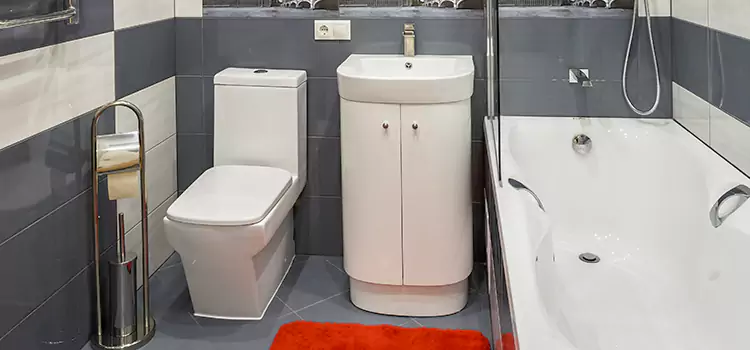 Hansgrohe Shaving Mirror Caldwell