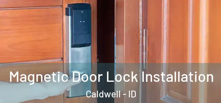  Magnetic Door Lock Installation Caldwell - ID