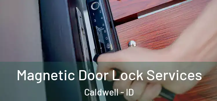  Magnetic Door Lock Services Caldwell - ID