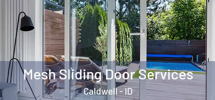  Mesh Sliding Door Services Caldwell - ID