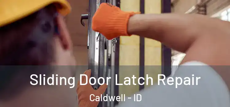  Sliding Door Latch Repair Caldwell - ID